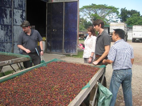 The drying facilities for Cafe de Lipa, a Filipino coffeeshop that sources most of its beans from local farmers. 