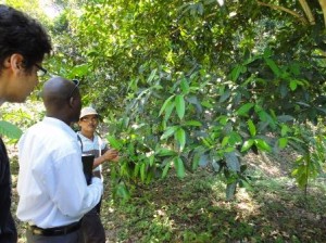 Maurice listens to a pepper oil farmer explain the harvest process