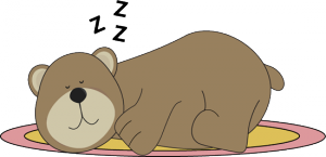 bear-sleeping-on-rug