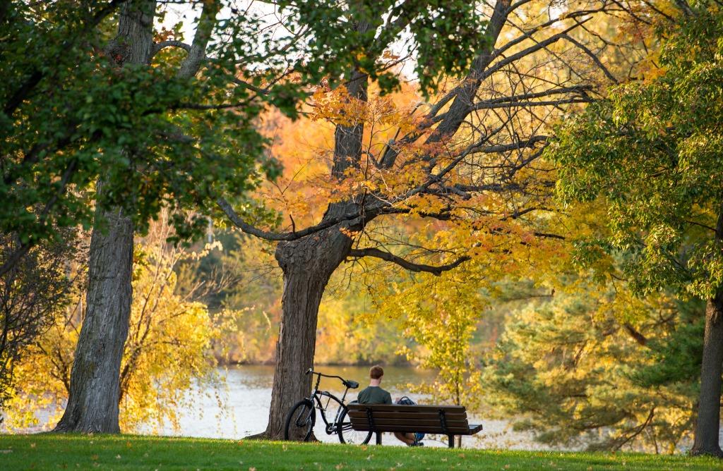 November 1, 2016; A student studies on a bench in front of St. Mary's Lake. (Photo by Barbara Johnston/University of Notre Dame)