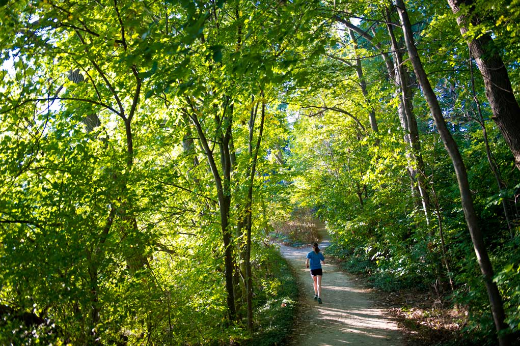 Sept. 24, 2013; Student jogs on a trail along St. Joseph Lake. Photo by Barbara Johnston/University of Notre Dame