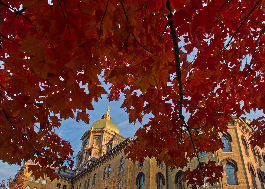 Oct. 29, 2013; Main Building framed by fall leaves. Photo by Matt Cashore/University of Notre Dame 
