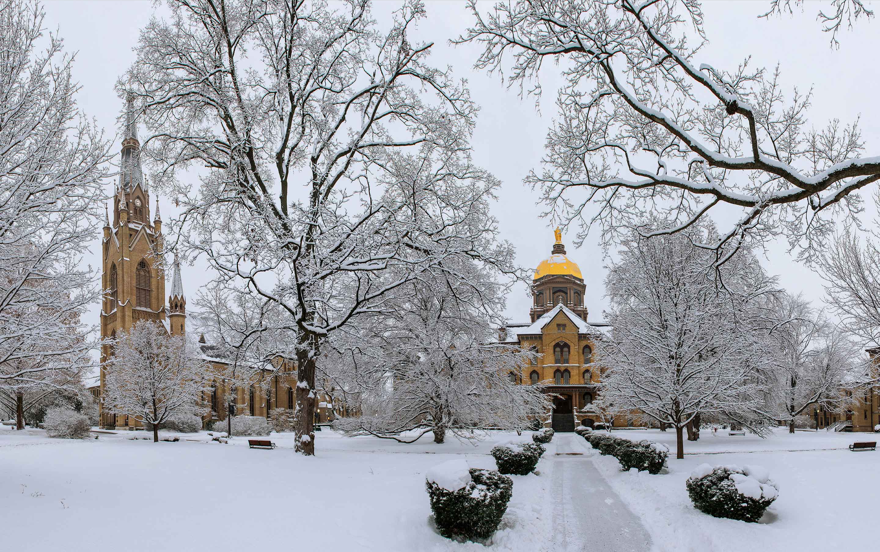 Jan. 5, 2013; Main Quad in winter. Photo by Matt Cashore/University of Notre Dame 