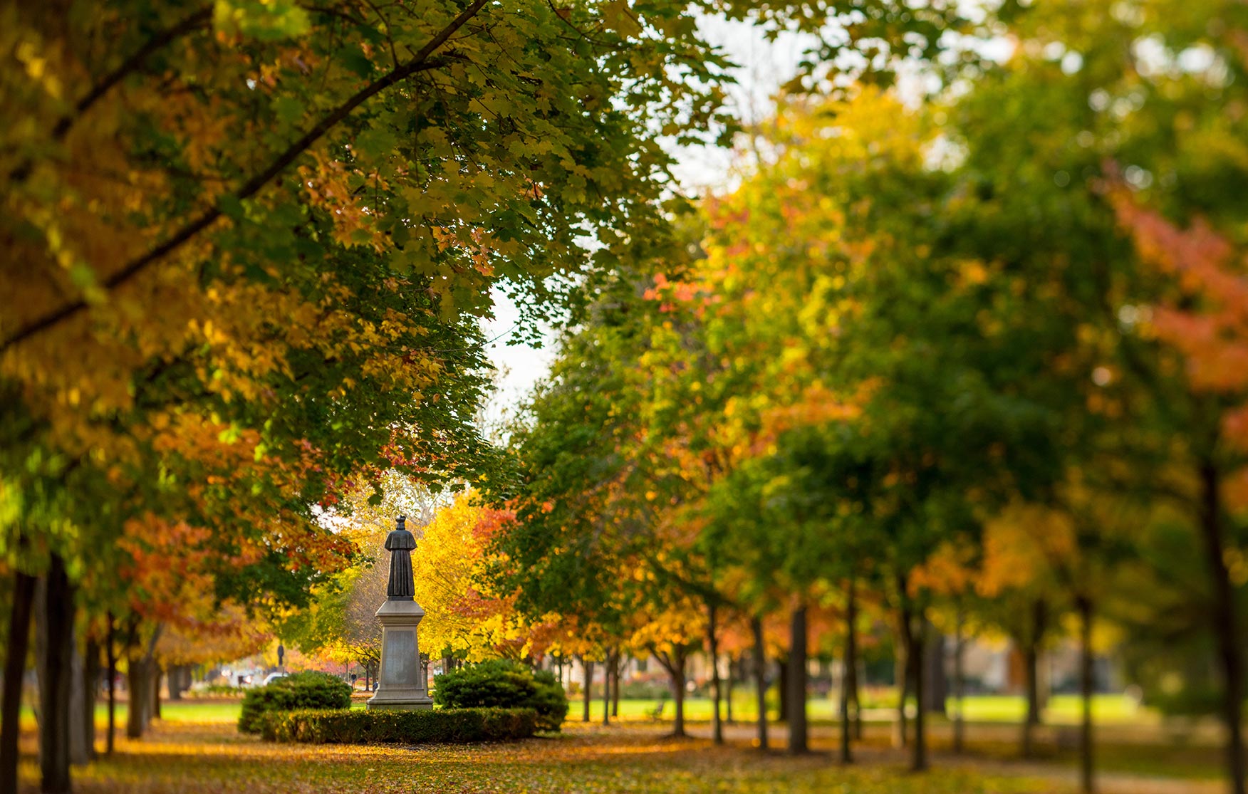 Oct.27, 2014; Main Quad (Photo by Matt Cashore/University of Notre Dame)