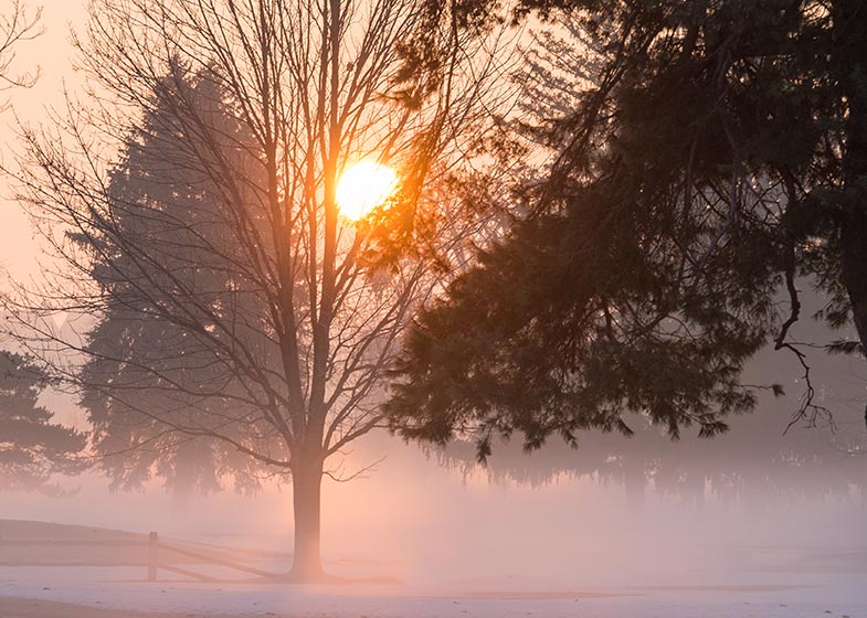 Jan. 19, 2015; Ground fog on the Burke Golf Course. (Photo by Matt Cashore/University of Notre Dame)