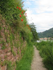 The Philosopher's Walk along the Neckar River in Heidelberg
