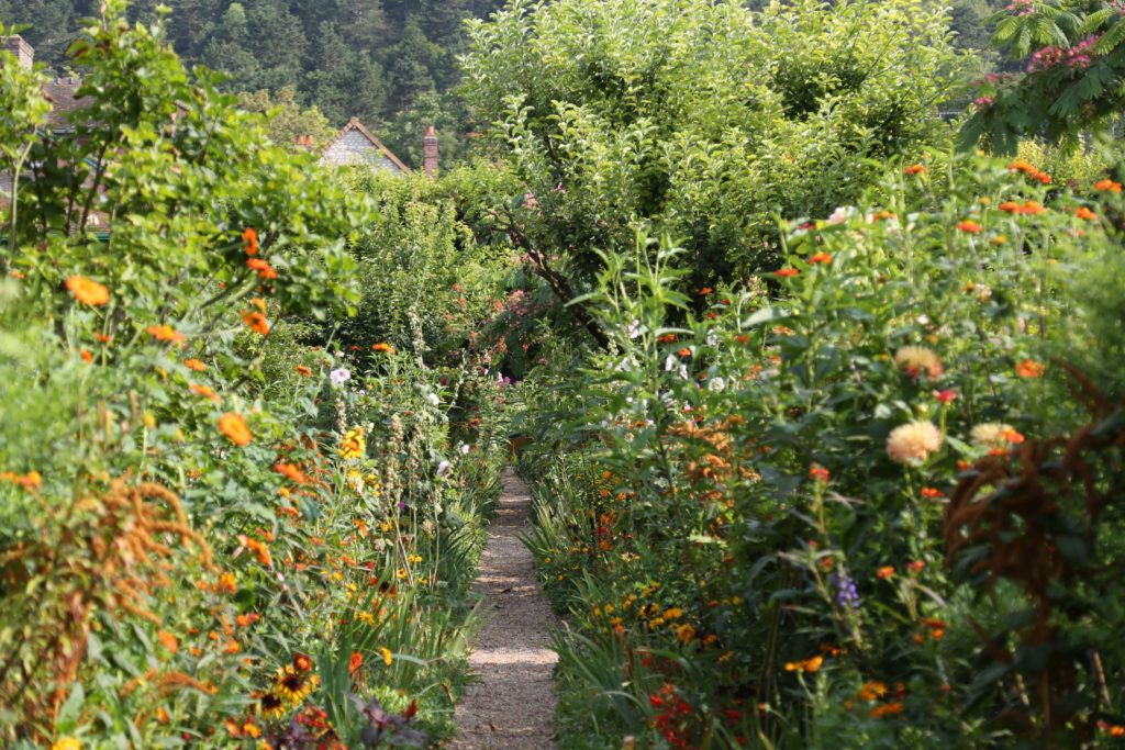 Monet's Dreamlike Garden Slightly after Peak Blossom Period
