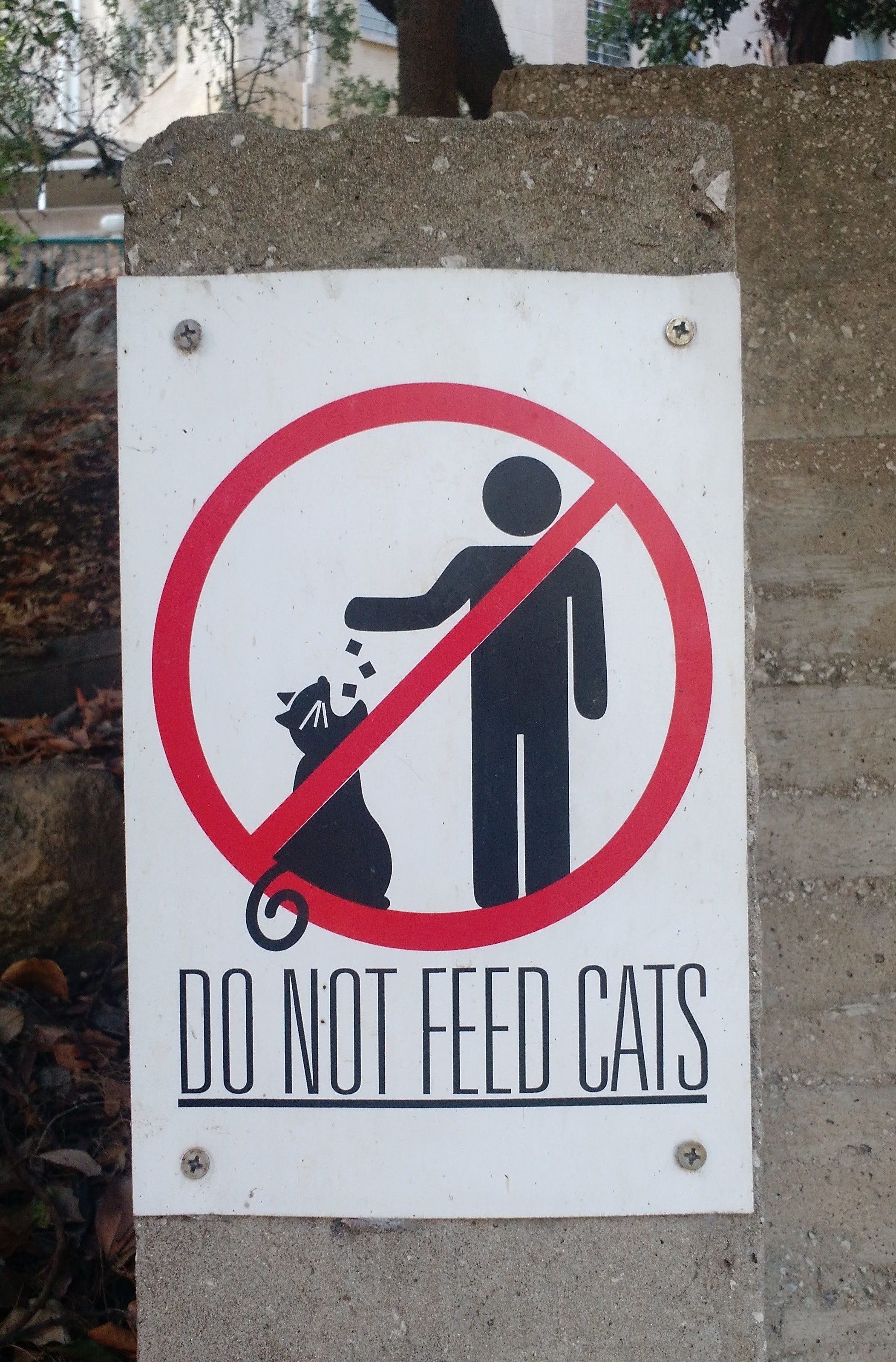 Do not feed the cats